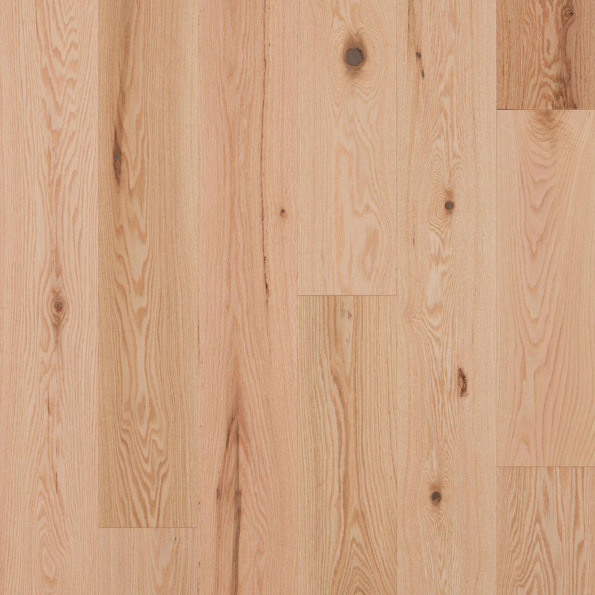 Bois Naturels Chêne Rouge Classique Brossé DuraMatt