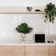 Essential Ceramics