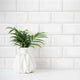 Essential Ceramics