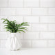 Essential Ceramics