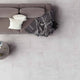 Porcelaine Evolution
