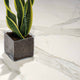 Porcelaine Marmi Classici