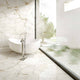 Porcelaine Marmi Classici