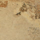 Porcelaine Slaty