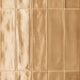 Céramique Multiforme