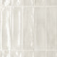Céramique Multiforme