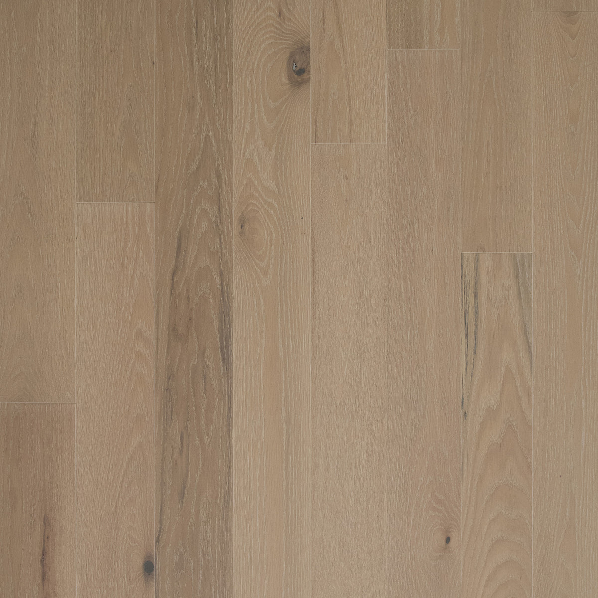 Dreamville Red Oak Engineered Brushed DuraMatt-X Wood