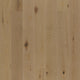 Dreamville Red Oak Engineered Brushed DuraMatt-X Wood