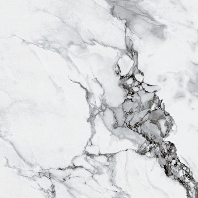 Capraia Porcelain