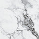 Capraia Porcelain