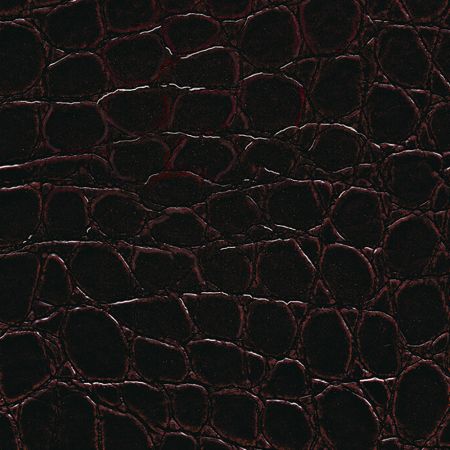Carreau de Cuir