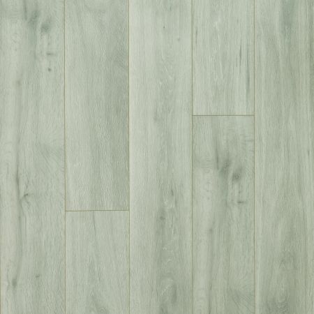 Laminate Leuco