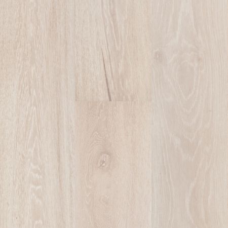 Corkwood XP Designer 